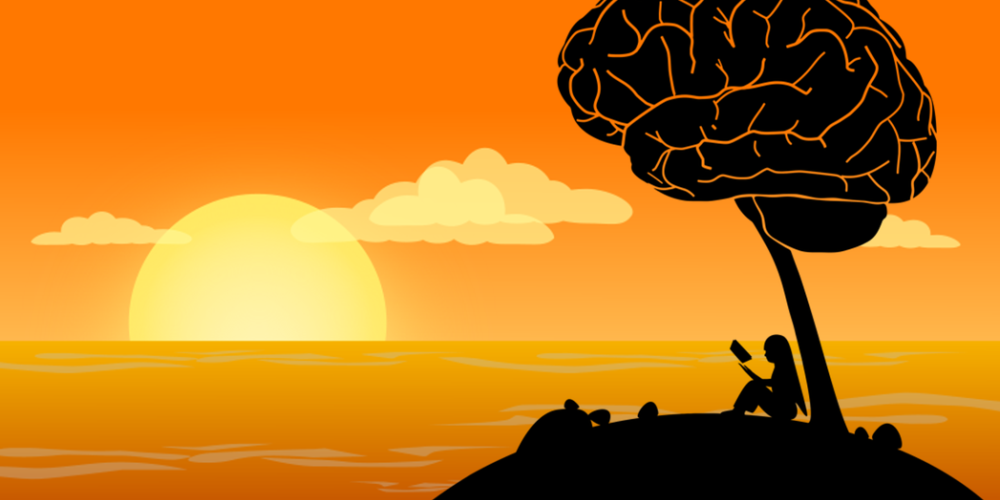 Breinvriendelijk leerklimaat